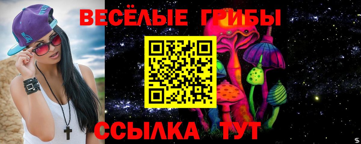 Псилоцибиновые грибы Cubensis Острогожск